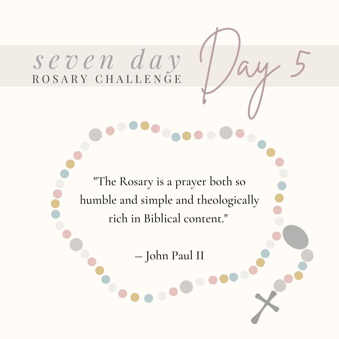 Day 5
