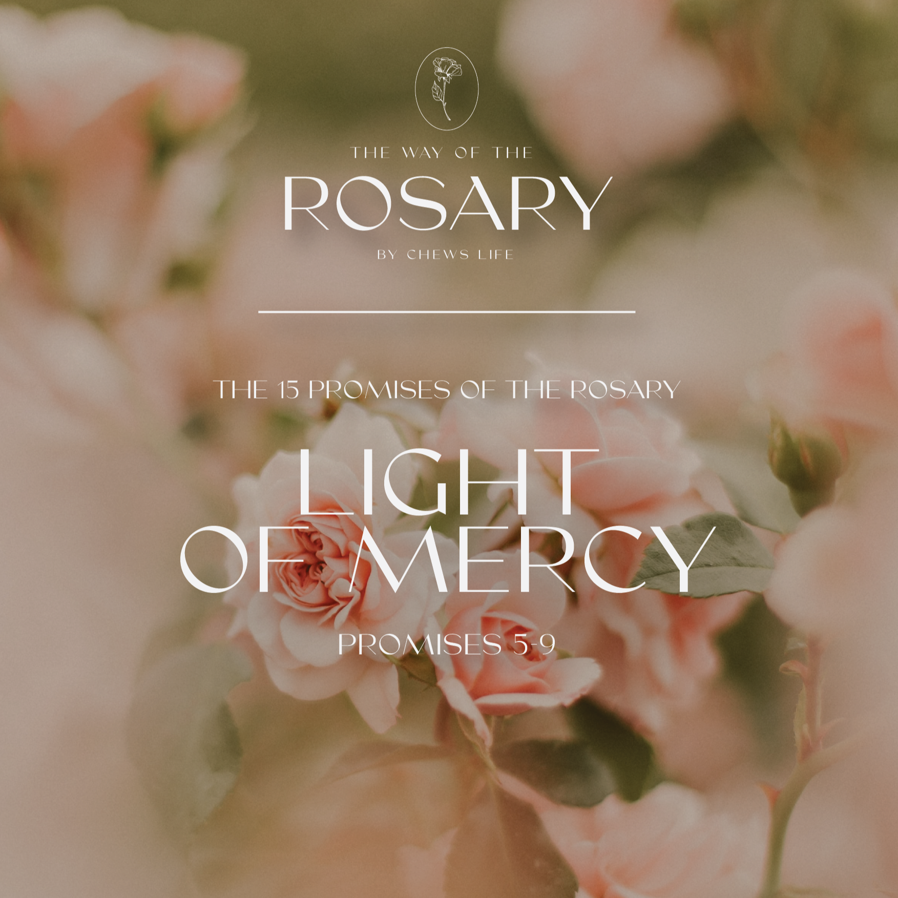 The 15 Promises of the Rosary | Vol 2 - Light of Mercy | Guided Devotional