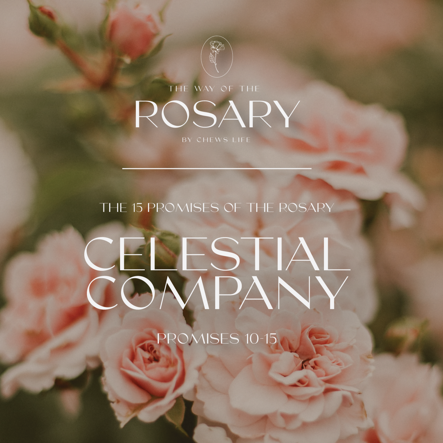 The 15 Promises of the Rosary | Vol 3 - Celestial Company | Guided Devotional