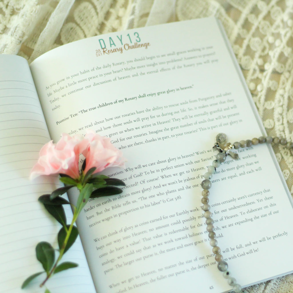 28 Day Challenge Rosary Book Bundle
