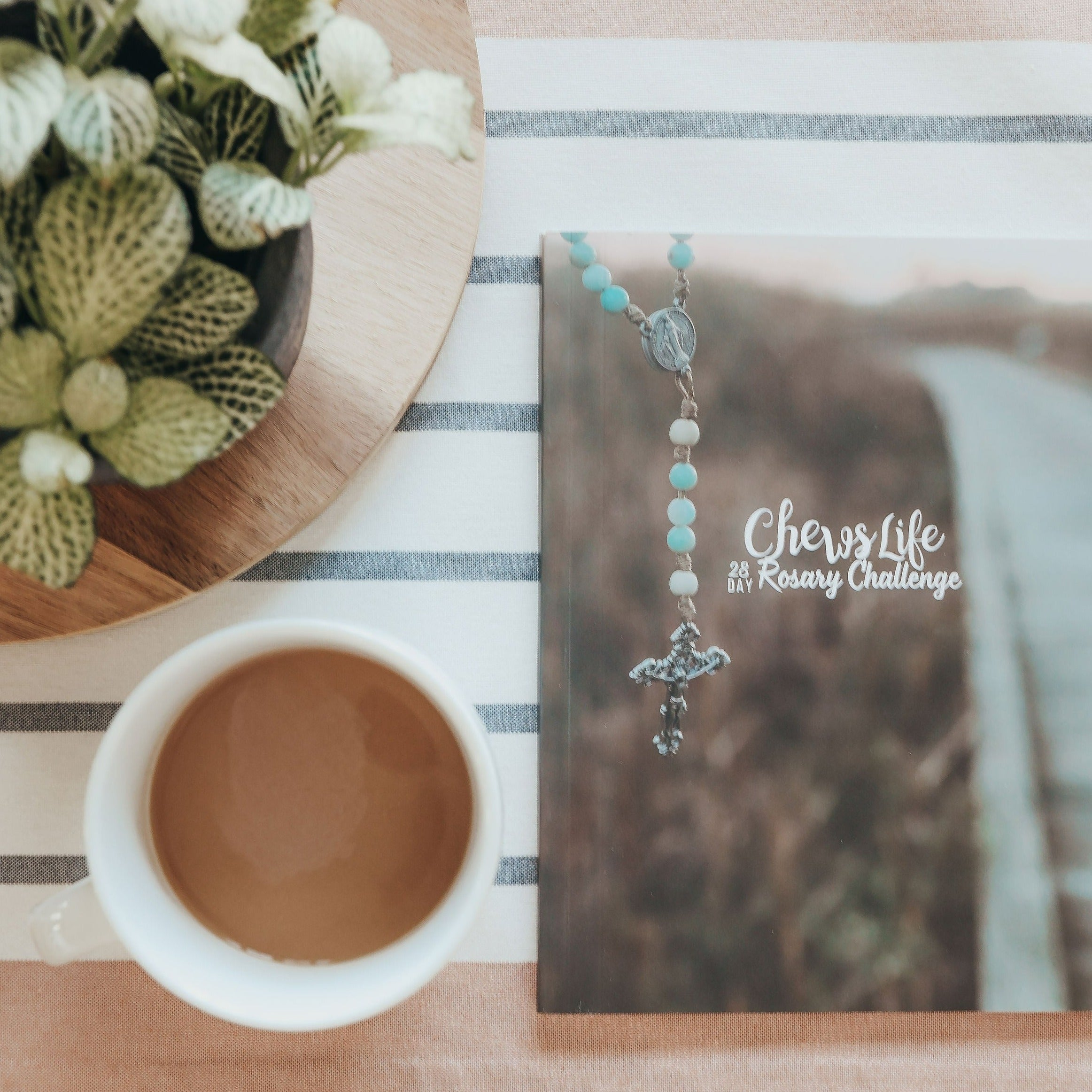 28 Day Rosary Challenge Book