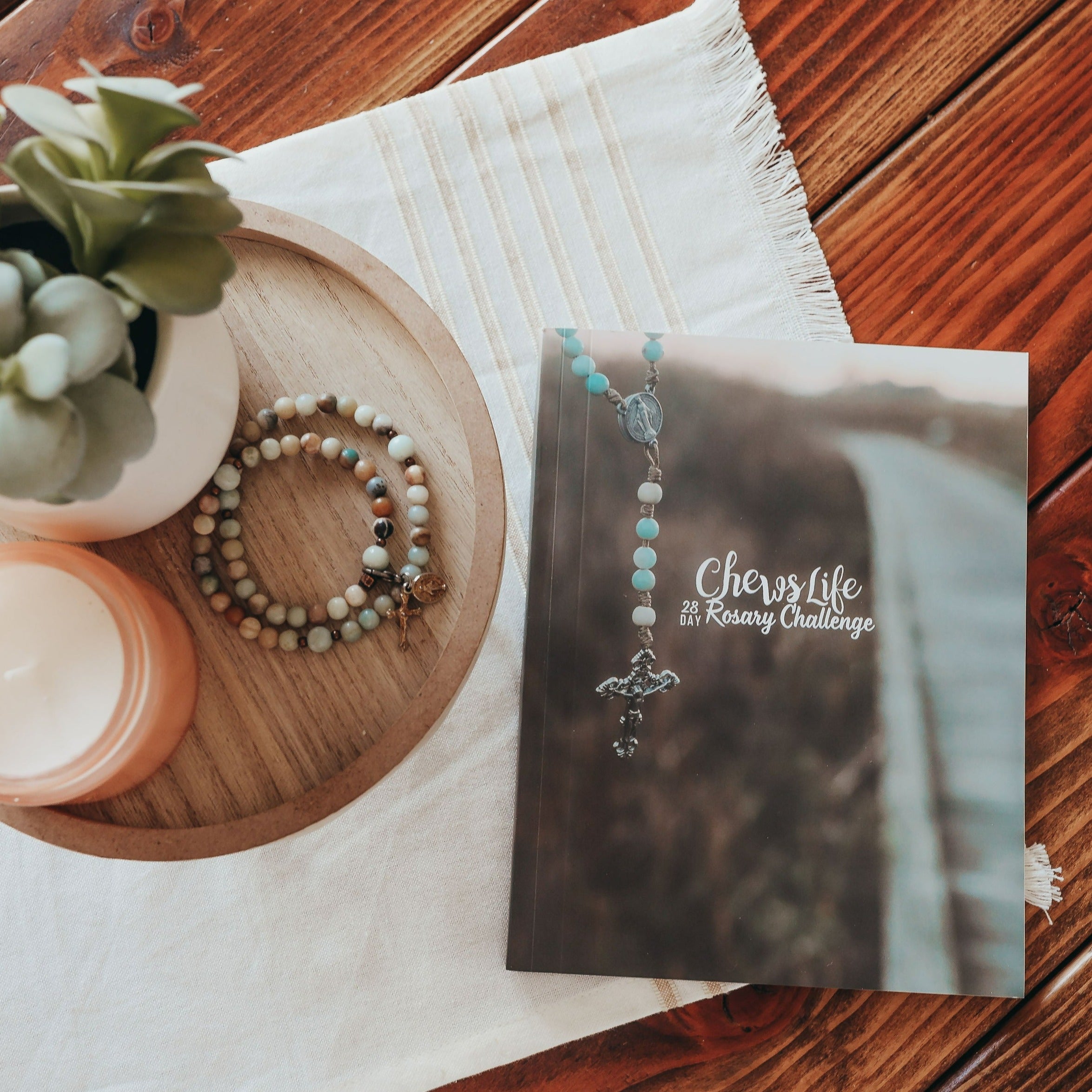 28 Day Rosary Challenge Book
