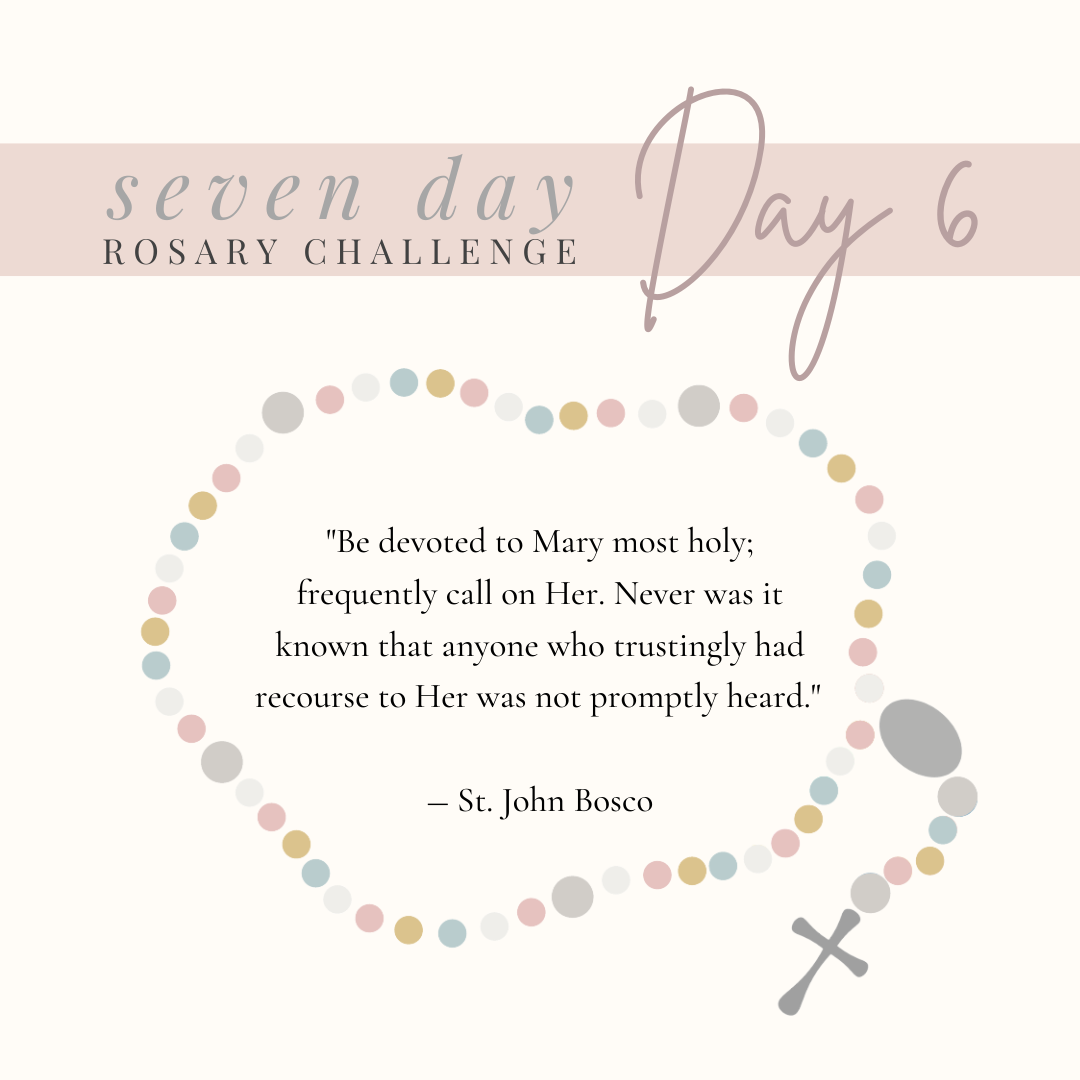 Day 6