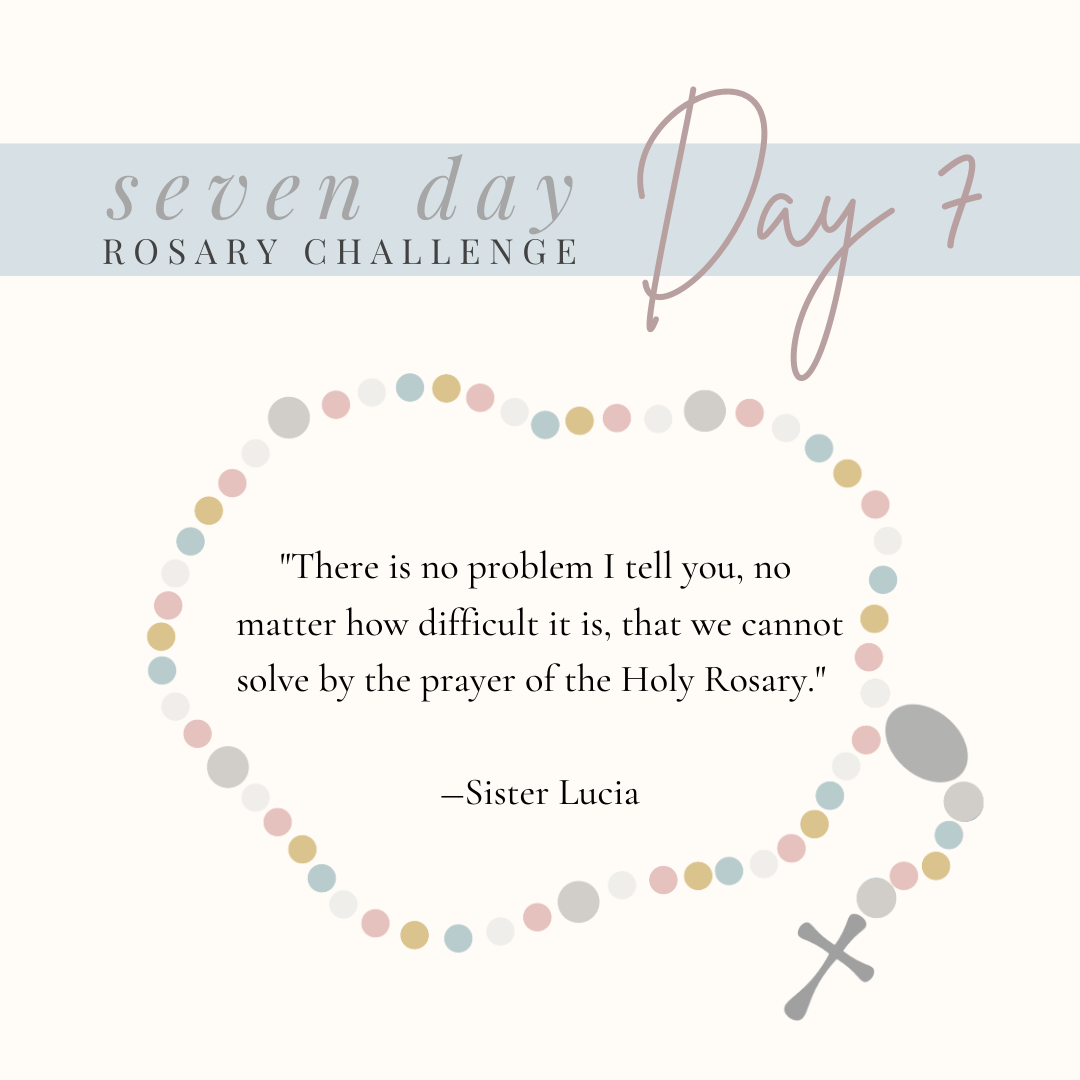 Day 7