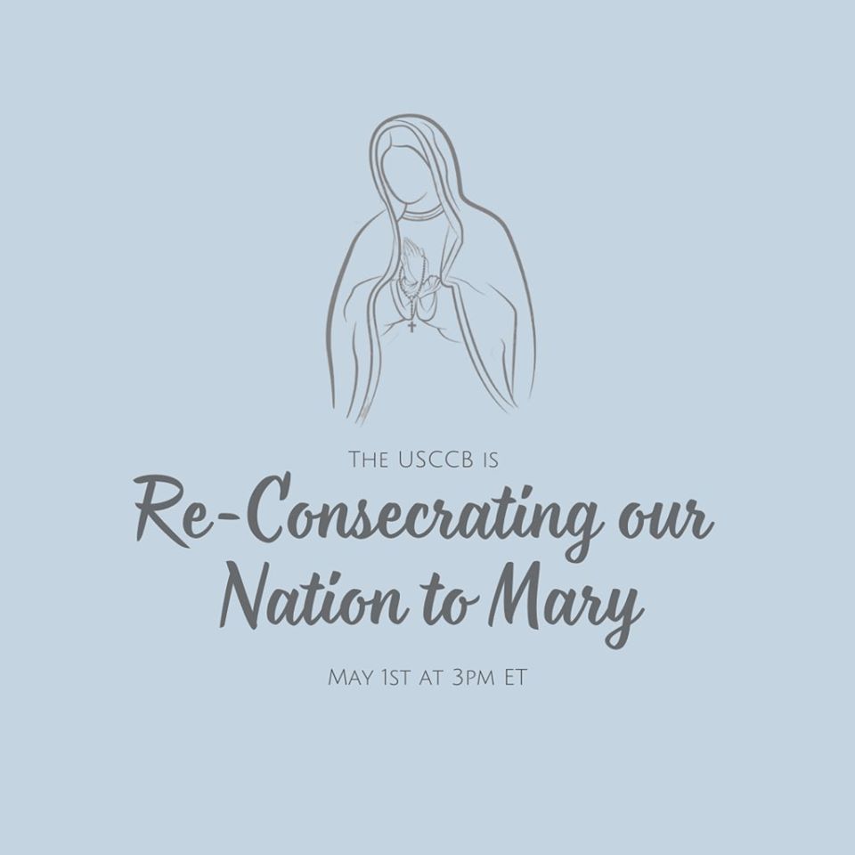U.S Re-Consecration to Mary 5/1/2020
