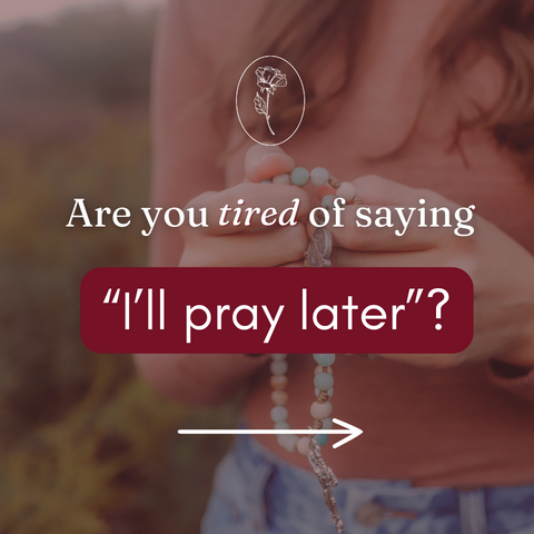 The Way of the Rosary |  Monthly Membership