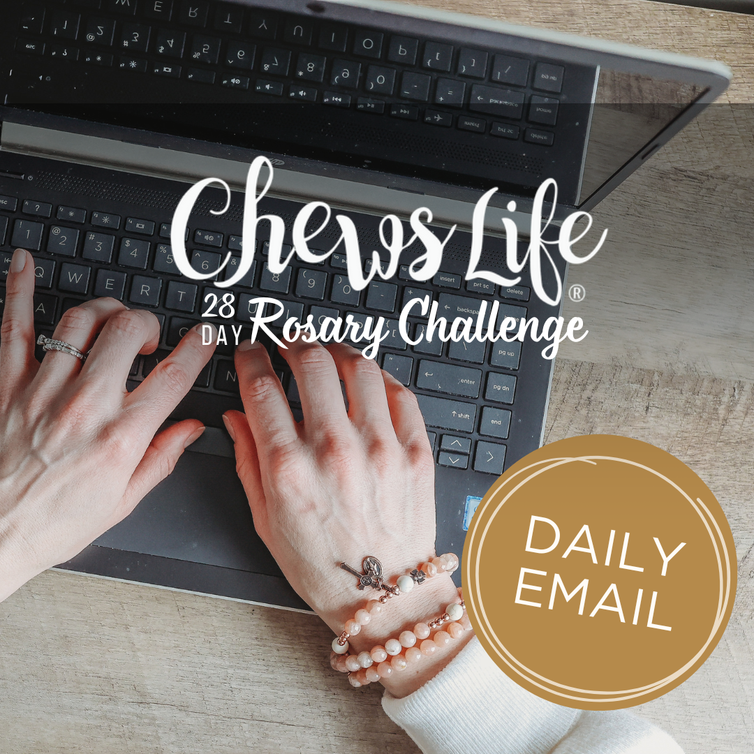 28 Day Rosary Challenge | EMAIL Version