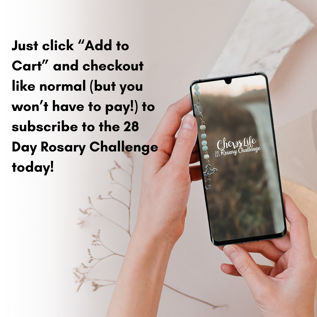 28 Day Rosary Challenge | EMAIL Version