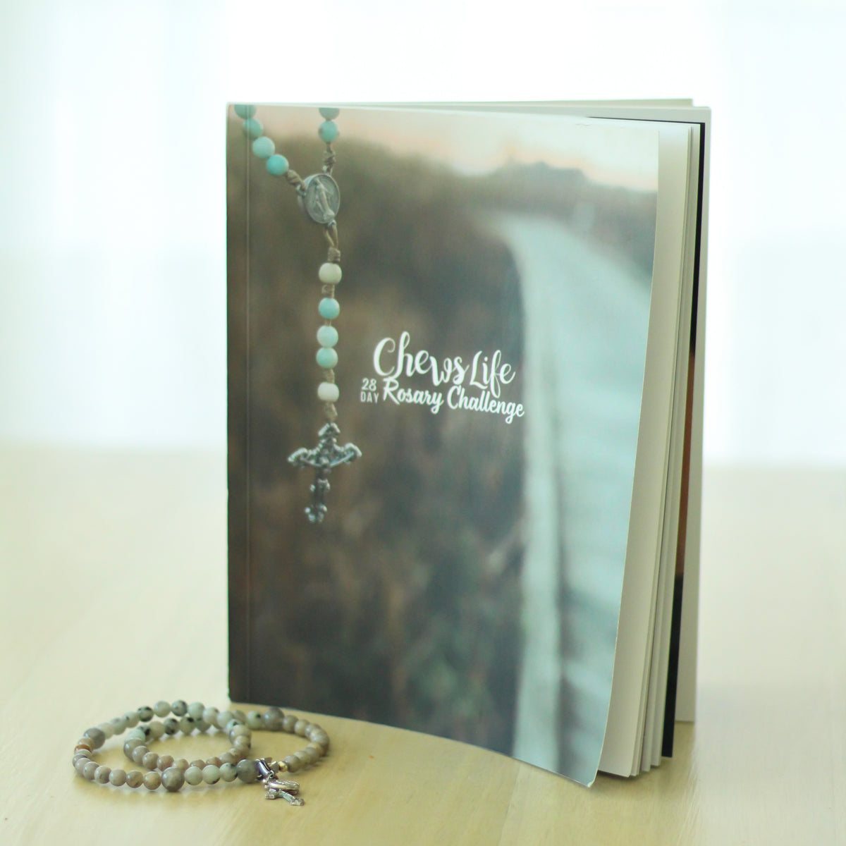 28 Day Challenge Rosary Book Bundle