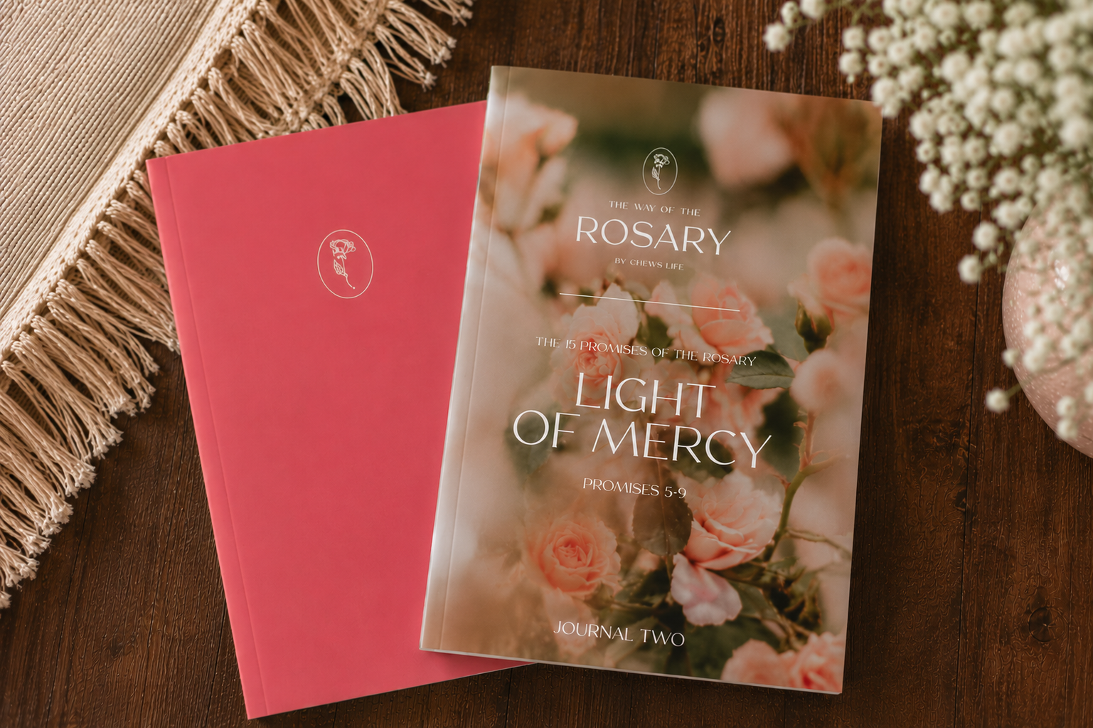 The 15 Promises of the Rosary | Vol 2 - Light of Mercy | Guided Devotional