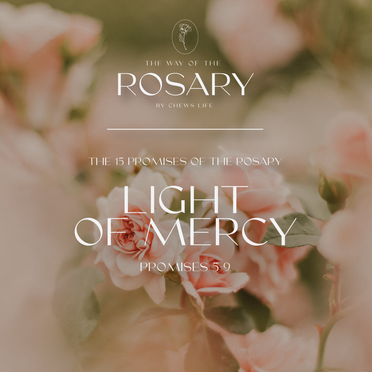 Way of the Rosary | Journal 2 | Light of Mercy