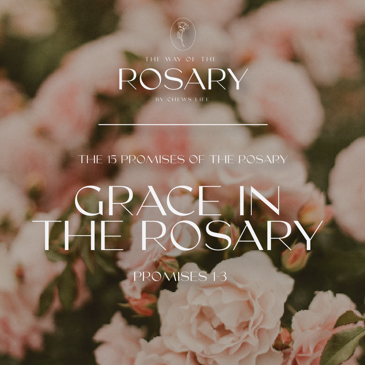 Way of The Rosary | Journal 1 | Grace in the Rosary