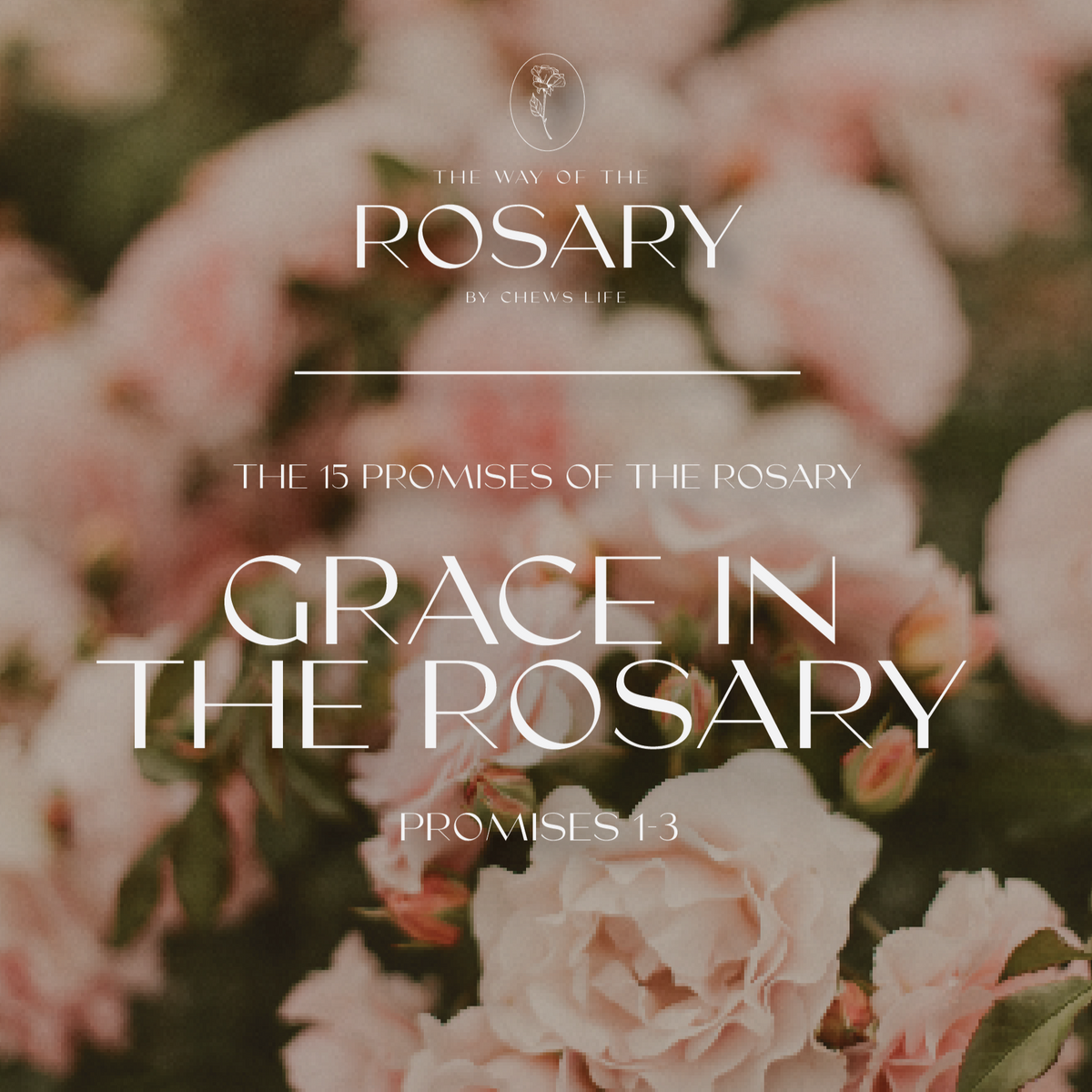 » Way of The Rosary | Journal 1 | Grace in the Rosary (100% off)