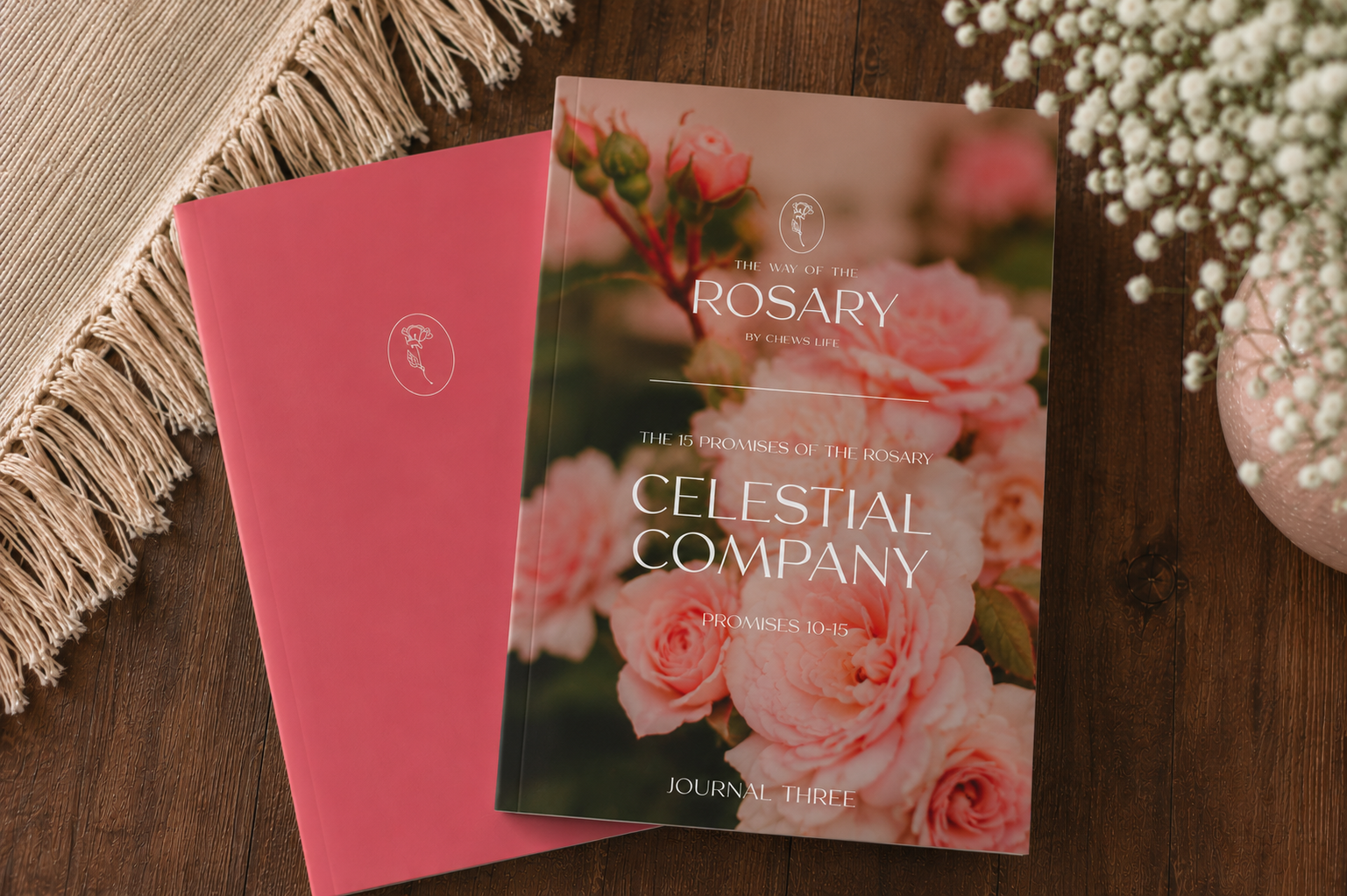 The 15 Promises of the Rosary | Vol 3 - Celestial Company | Guided Devotional