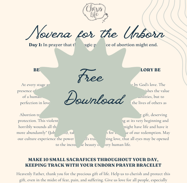 Prayer for the Unborn Novena | Printable Download