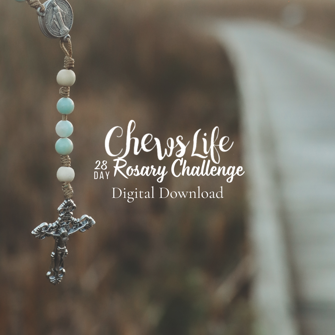 28 Day Rosary Challenge | PDF Version