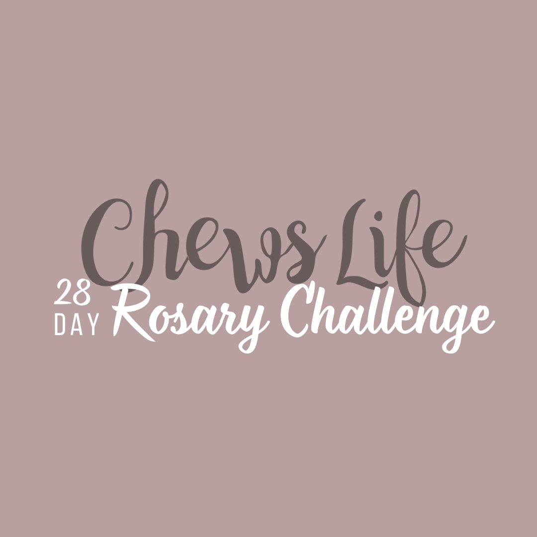 28 Day Rosary Challenge | EMAIL Version
