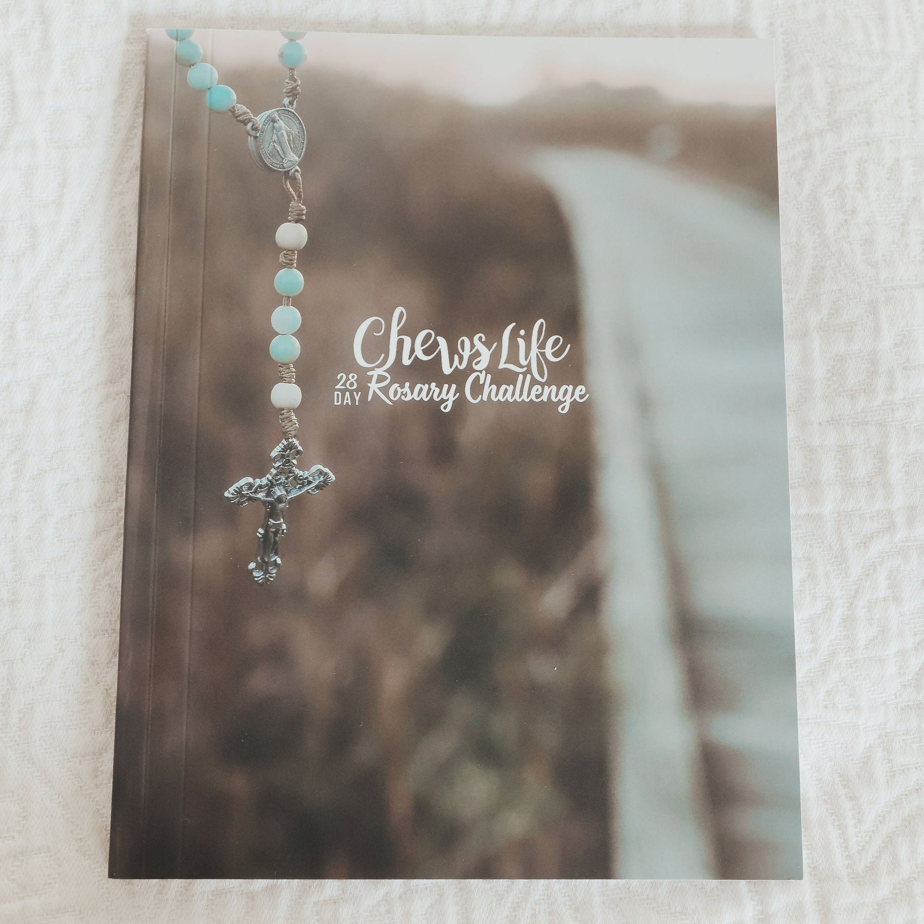 28 Day Rosary Challenge Book